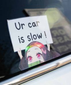 Nezuko - Ur Car Is Slow Holo